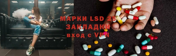 ПСИЛОЦИБИНОВЫЕ ГРИБЫ Алзамай